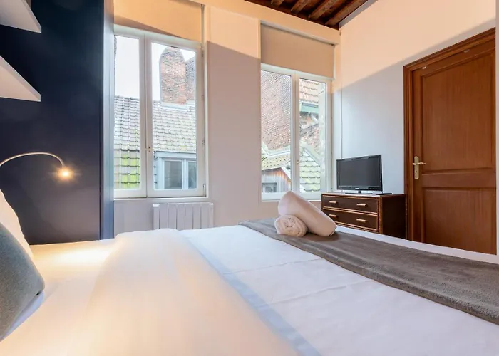 Old Lille Apartment With Cachet Parking